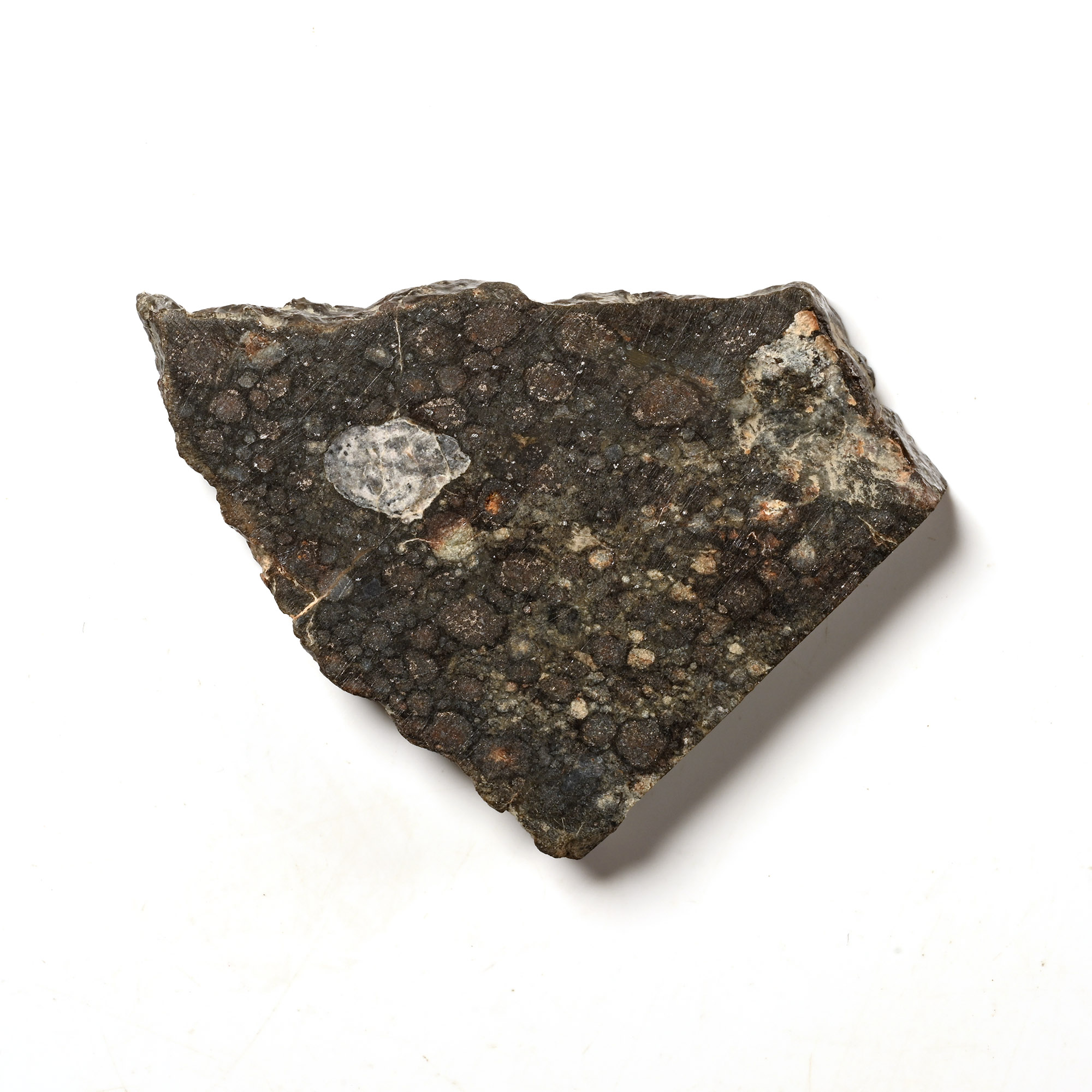 Natural History - Carbonaceous NWA 12590 Meteorite Slice